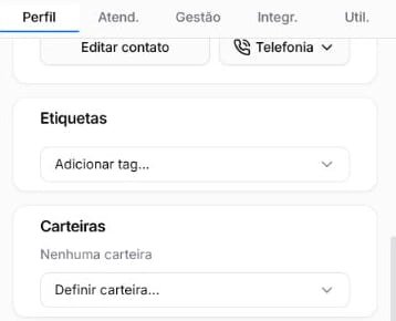 Cartões Etiquetas e Carteiras na aba Perfil dos detalhes do contato